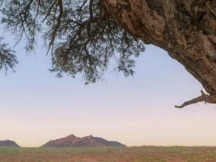 Abiku: Nascido para Morrer 