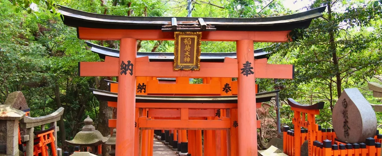 Linhagens de Reiki: O Reiki é Um Só