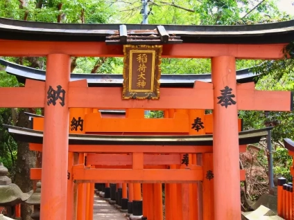 Linhagens de Reiki: O Reiki é Um Só