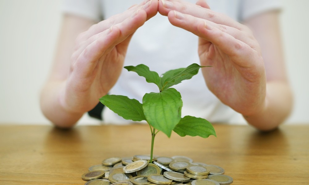 De Bem Com o Dinheiro: Como Entrar no Fluxo da Abundância